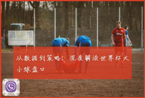 从数据到策略：深度解读世界杯大小球盘口