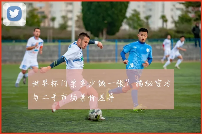 世界杯门票多少钱一张？揭秘官方与二手市场票价差异