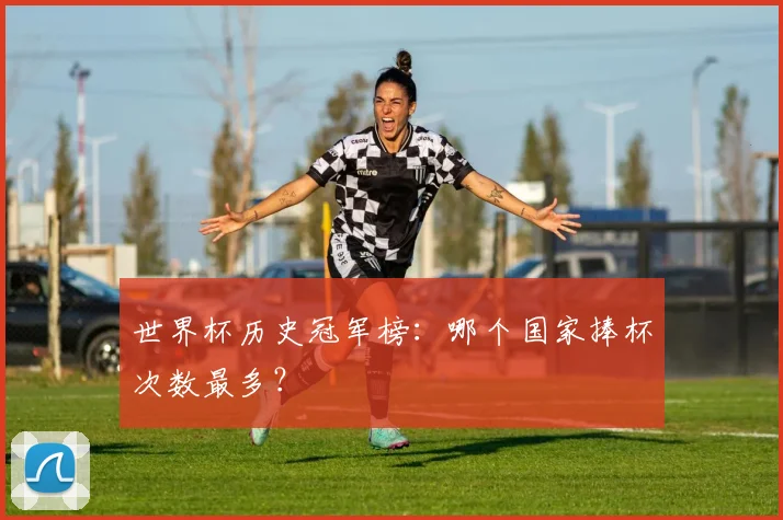 世界杯历史冠军榜：哪个国家捧杯次数最多？