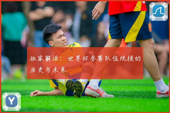 独家解读：世界杯参赛队伍规模的历史与未来