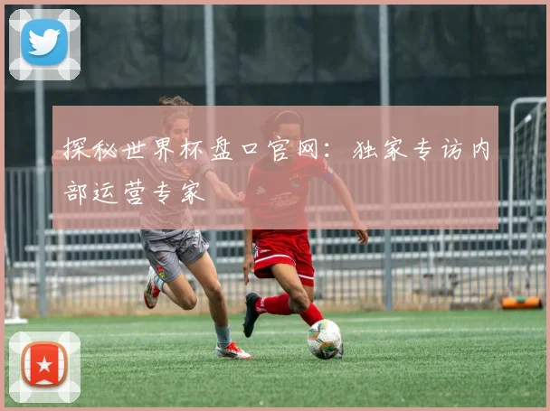 探秘世界杯盘口官网：独家专访内部运营专家