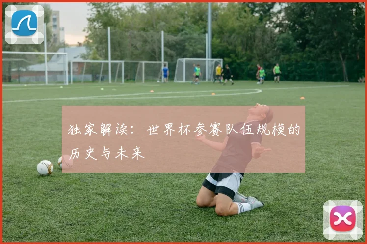独家解读：世界杯参赛队伍规模的历史与未来