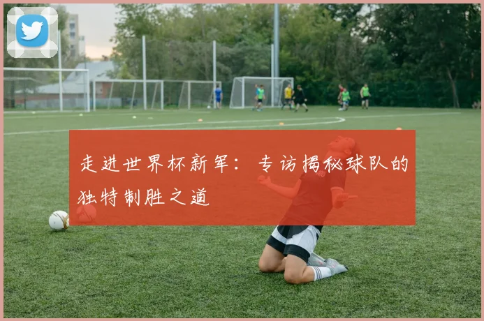 走进世界杯新军：专访揭秘球队的独特制胜之道