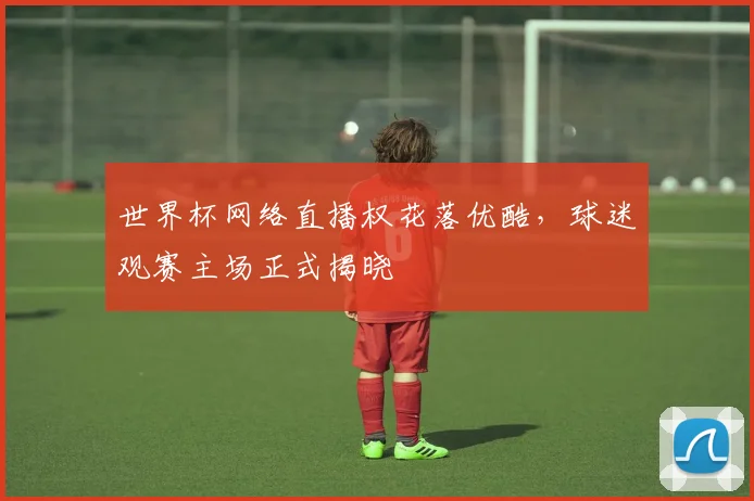 世界杯网络直播权花落优酷,球迷观赛主场正式揭晓