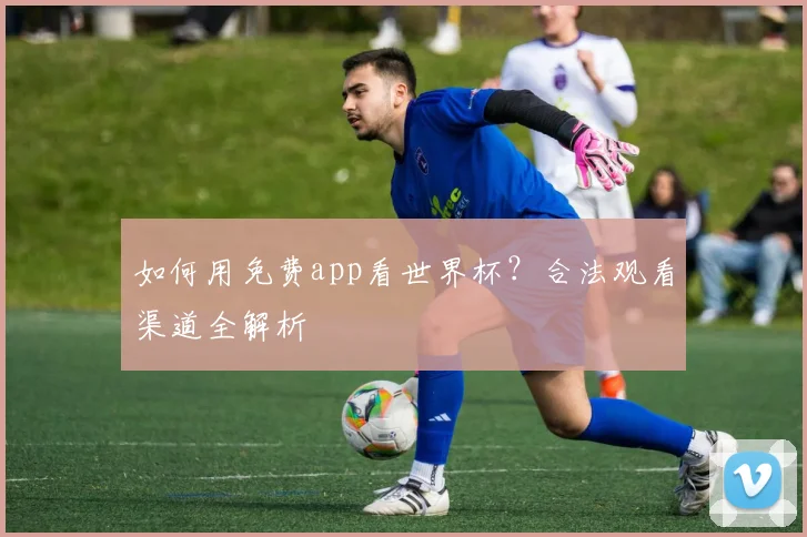 如何用免费app看世界杯？合法观看渠道全解析