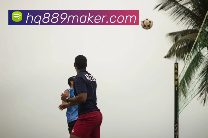 世界杯在线无插件直播平台生态图